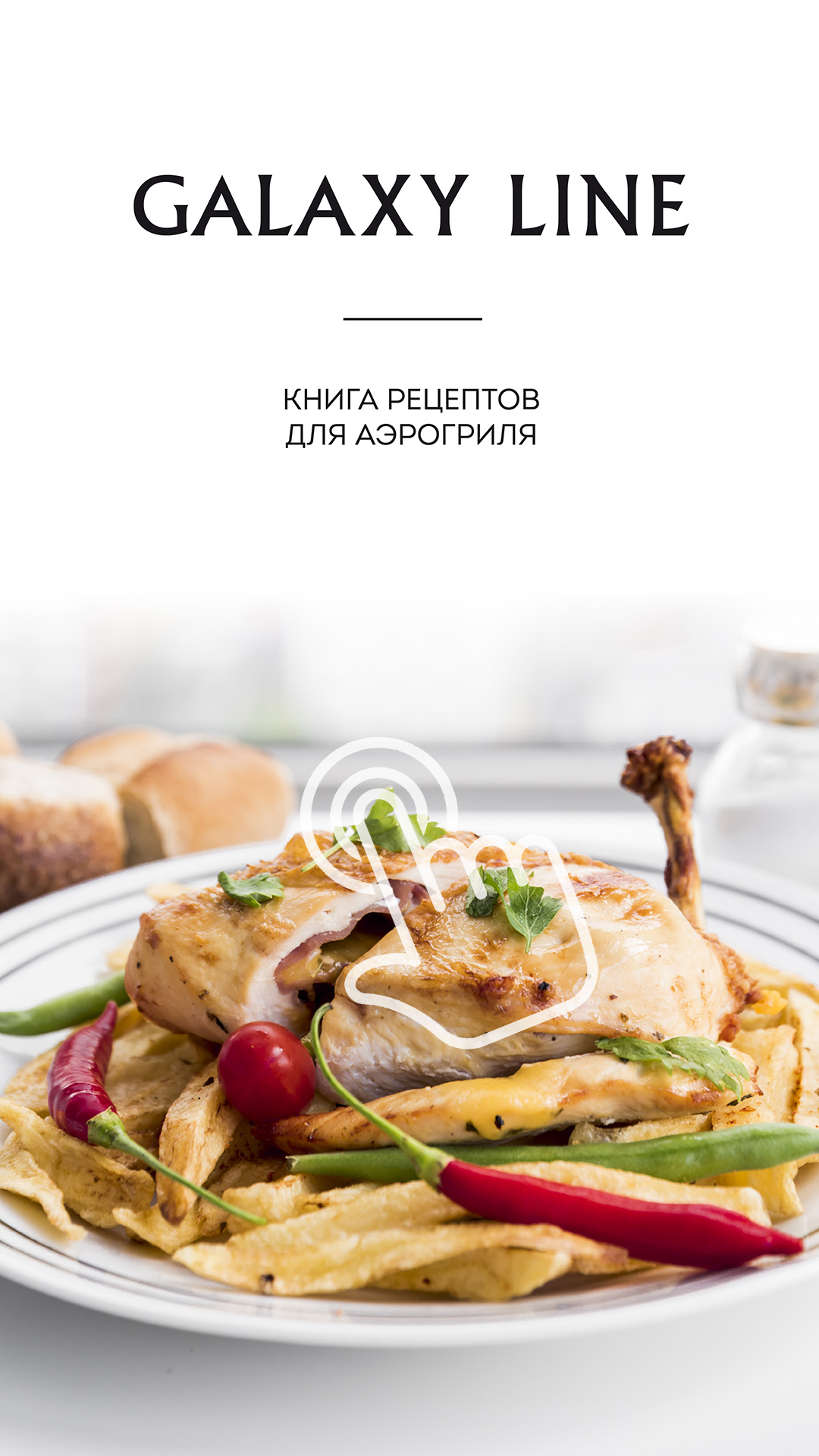 книги-рецептов-аэрогриль.jpg